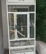 للبيع زوج لوري ربوه اقراء الوصف مهم