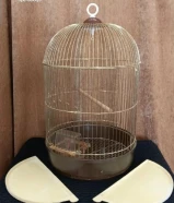 قفص عصافير استعمال عصفورة