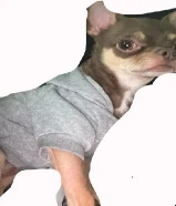 للبيع جيواوا