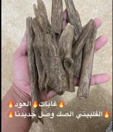 غـابـات العــود