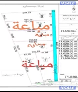 للبيع مزرعه بالوفرة 11 الف طريق 400 تحويل رسمى شركات نباتية