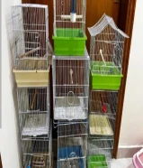 مجموعة اقفاص مستعملة للطيور الصغيرة رقم التواصل