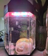 aquarium small size Hexagon shape9929
