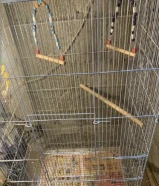 Big cage very good condition