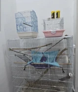 3 أقفاص للسناجب والطيور