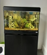 Fluval Roma 125 L With eheim ecco pro 300 Filter