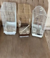 ثلاث اقفص عصفار بحالي جديد استعمل خفيف جدن لالبع