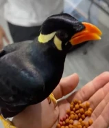 مطلوب مينا سمطره بسعر مناسب التواصل واتساب فقط