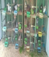 خانات ام 3 حق حمام