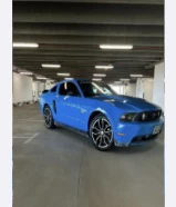 Mustang for sale