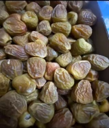 مفتل ملكي اشقر