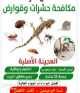 مكافحة جميع الحشرات والقوارض جميع مناطق الكويت كفاله سنه علي جميع أعمالنا