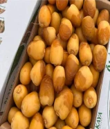 رطب اخلاص وادي الدواسر