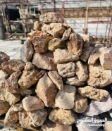 للبيع جميع انواع زينه للحديقة