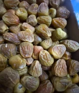 مفتل ملكي اشقر