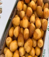رطب اخلاص وادي الدواسر