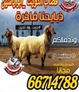 قصاب تحت الطلب ذبح توصيل الى المنزل