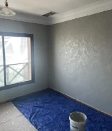 أصباغ مميذا