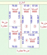 مزارع بالوفره الزراعيه