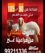 ذبايح السلامة