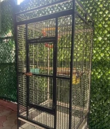 للبيع قفص يوسع مكاو قفص نظيف