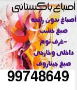 صباغ باکستانى