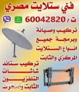 فني ستلايت مصري لتركيب الستلايت المركزي والخاص60042820