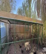 قفص محبس محكر للدجاج