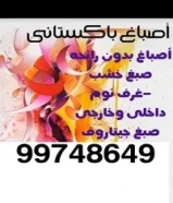 صباغ باکستانى