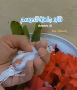 نثاية روسيه للبيع