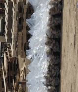 للبيع حطب مشكل ناشف الكيس 10 كيلو السعر 1.250 التوصيل 5 دنانير الوفرة