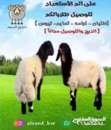 ذبايح السعد