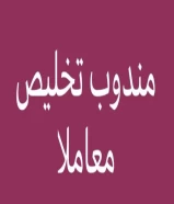 مندوب عام معاملات