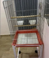 Parrot cage