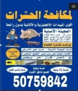 شركة التوفير الالمانيه لمكافحة الحشرات والقوارض