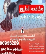 مكافحة 🐦 الطيور