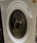 Bausch front load washing machine 8kg