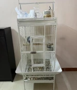 قفص بغبغاء كبير شبه الجديد