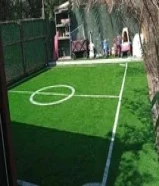 تنسيق حدائق66354390