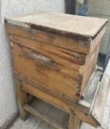 منحل مع 17 خلية