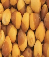 رطب خلاص- روتانا