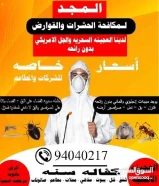 مكافحه جميع انواع الحشرات الصراصير النمل الابيض والاسود برعص الفيرنان أمن لدى قسم خاص لي الصالونت