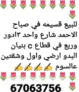 عرض جديد في صباح الأحمد