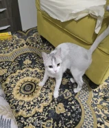 الام وبنتها معا