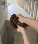 بودل تي كب مستوايات قويه