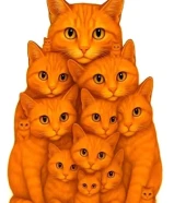 مندوب توصيل