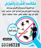 مكافحه حشرات وقوارض