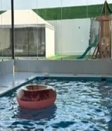 للآيجار استراحة كبد