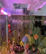 Aquarium for sale