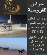 مربط بو حواس للفروسية دورات تعليم ركوب الخيل